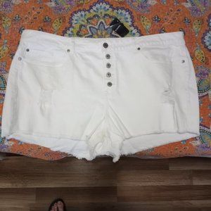 TORRID NWT Sz 26 High Rise Short Shorts White